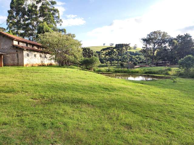 Gramado e lago