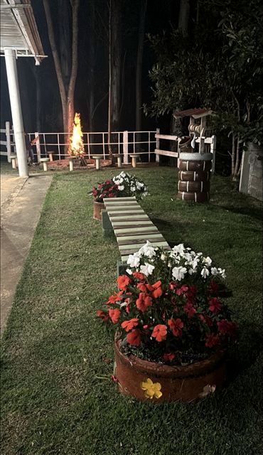 Caminho iluminado entre canteiros de flores à noite